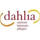 dahlia Verein Emmental