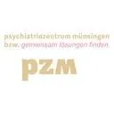 PZM AG